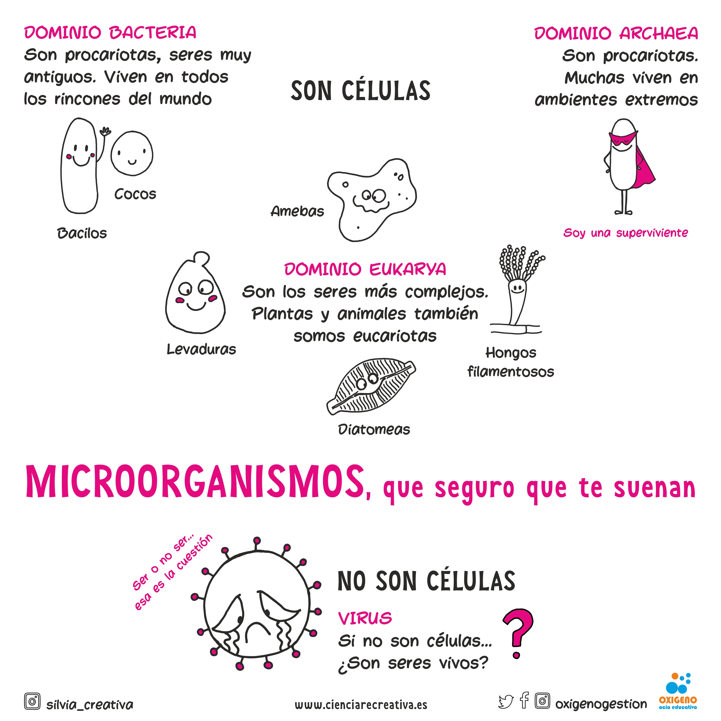 mundo microscopico 02 ciencia recreativa microorganismos